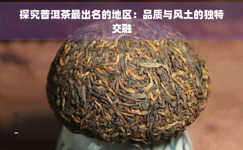 探究普洱茶最出名的地区：品质与风土的独特交融