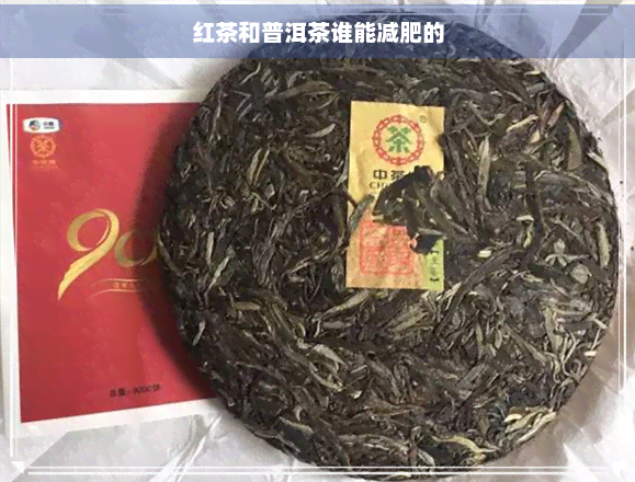 红茶和普洱茶谁能减肥的