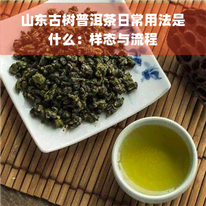 山东古树普洱茶日常用法是什么：样态与流程