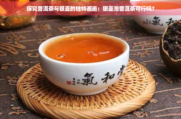 探究普洱茶与银壶的独特邂逅：银壶泡普洱茶可行吗？