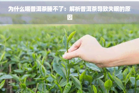 为什么喝普洱茶睡不了：解析普洱茶导致失眠的原因