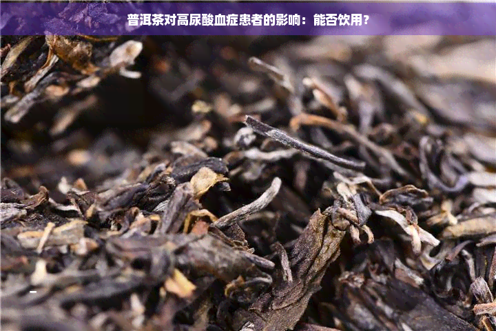 普洱茶对高尿酸血症患者的影响：能否饮用？