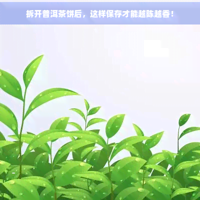 拆开普洱茶饼后，这样保存才能越陈越香！