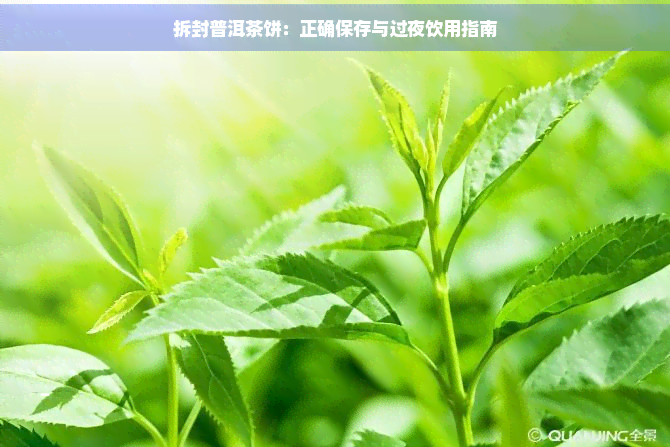 拆封普洱茶饼：正确保存与过夜饮用指南