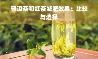 普洱茶和红茶减肥效果：比较与选择