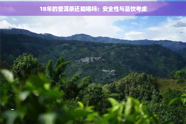 18年的普洱茶还能喝吗：安全性与品饮考虑