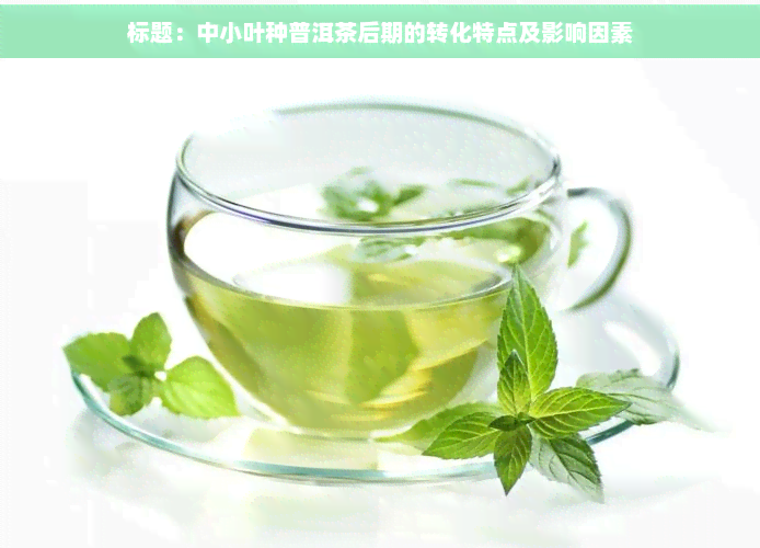 标题：中小叶种普洱茶后期的转化特点及影响因素