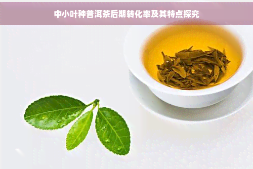 中小叶种普洱茶后期转化率及其特点探究