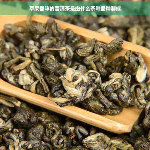 草果香味的普洱茶是由什么茶叶品种制成