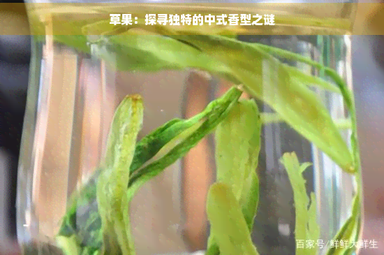 草果：探寻独特的中式香型之谜