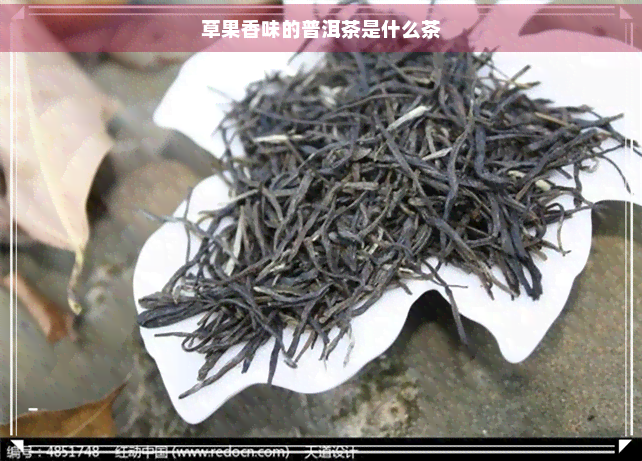 草果香味的普洱茶是什么茶