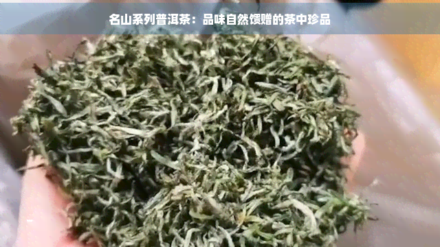 名山系列普洱茶：品味自然馈赠的茶中珍品