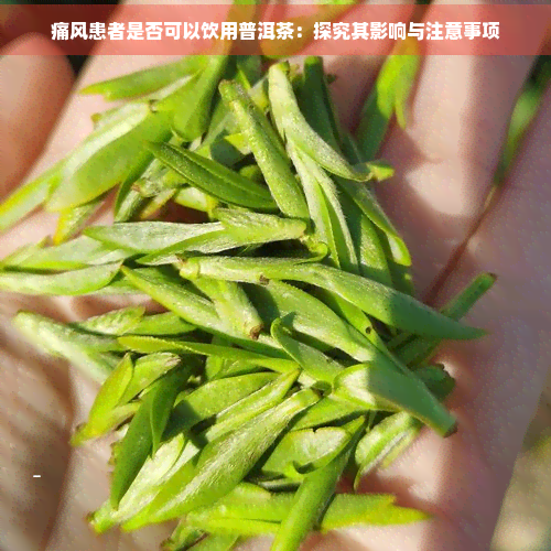 痛风患者是否可以饮用普洱茶：探究其影响与注意事项