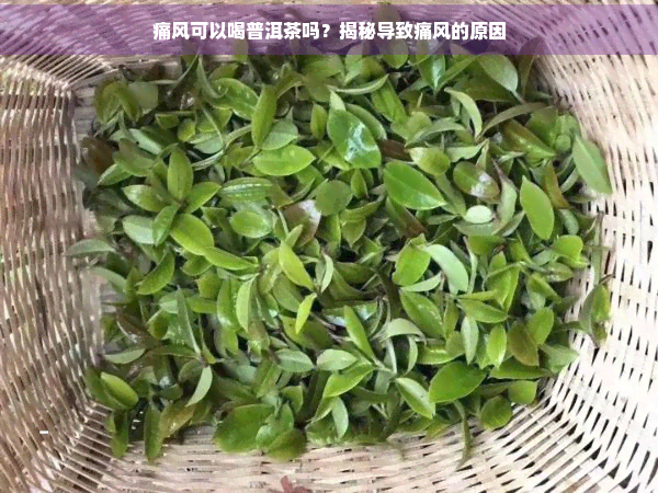 痛风可以喝普洱茶吗？揭秘导致痛风的原因