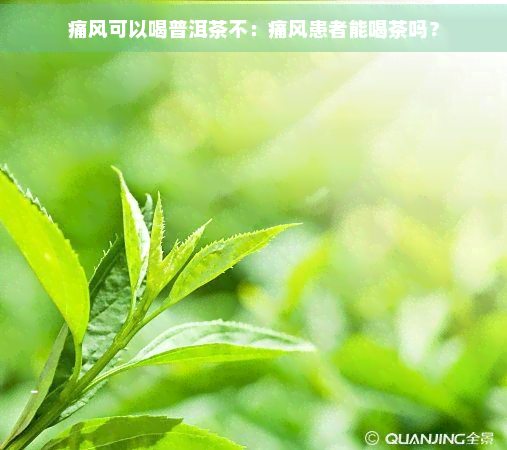 痛风可以喝普洱茶不：痛风患者能喝茶吗？