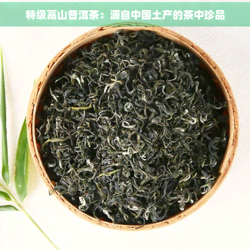 特级高山普洱茶：源自中国土产的茶中珍品