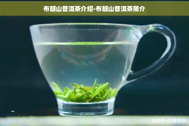 布朗山普洱茶介绍-布朗山普洱茶简介