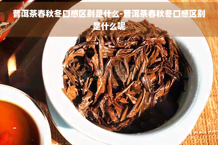 普洱茶春秋冬口感区别是什么-普洱茶春秋冬口感区别是什么呢