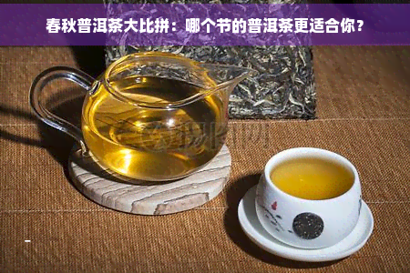 春秋普洱茶大比拼：哪个节的普洱茶更适合你？