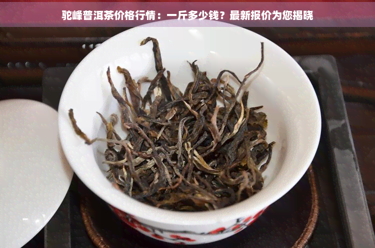 驼峰普洱茶价格行情：一斤多少钱？最新报价为您揭晓