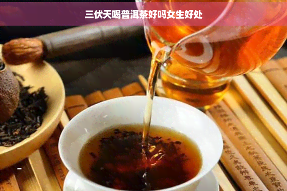 三伏天喝普洱茶好吗女生好处