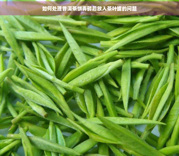 如何处理普洱茶饼弄碎后放入茶叶罐的问题