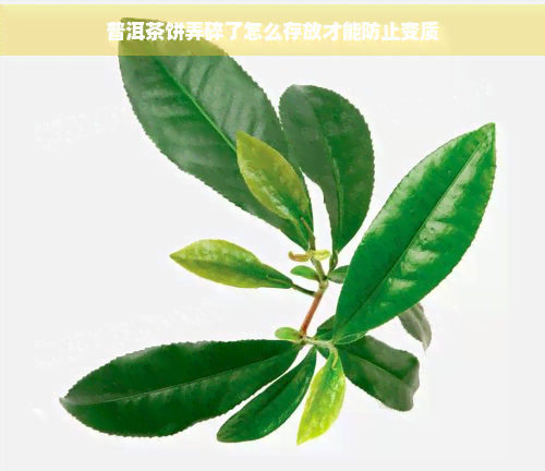 普洱茶饼弄碎了怎么存放才能防止变质