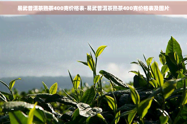 易武普洱茶熟茶400克价格表-易武普洱茶熟茶400克价格表及图片