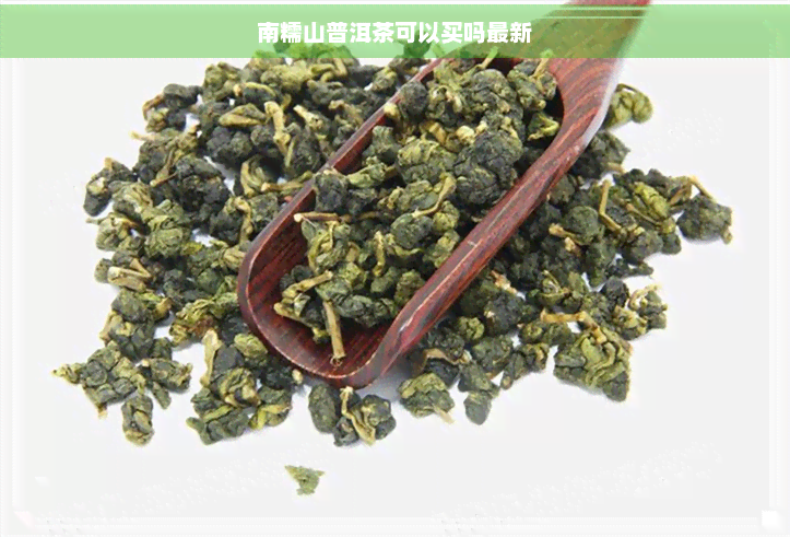 南糯山普洱茶可以买吗最新