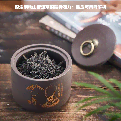 探索南糯山普洱茶的独特魅力：品质与风味解析