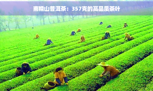 南糯山普洱茶：357克的高品质茶叶