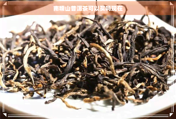 南糯山普洱茶可以买吗现在