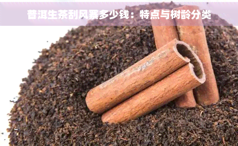 普洱生茶刮风寨多少钱：特点与树龄分类