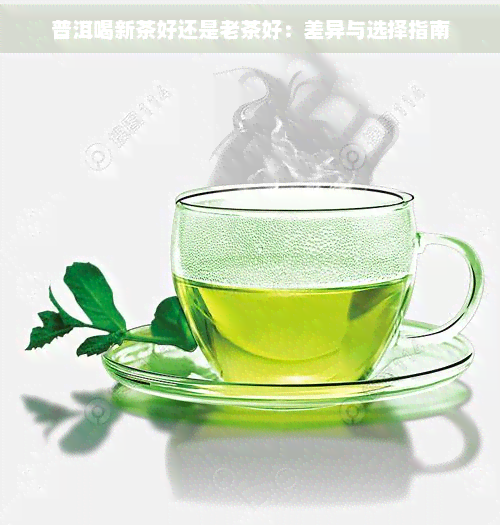 普洱喝新茶好还是老茶好：差异与选择指南