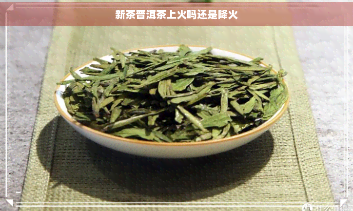 新茶普洱茶上火吗还是降火