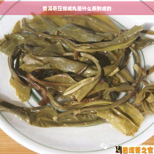 普洱茶压缩成丸是什么茶制成的