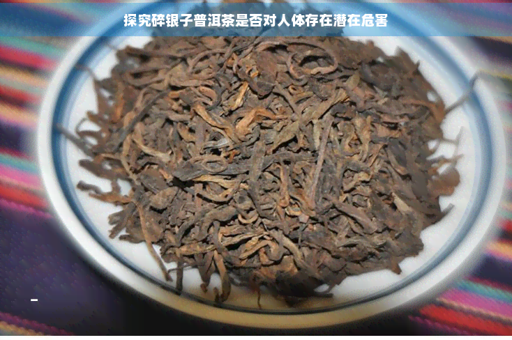 探究碎银子普洱茶是否对人体存在潜在危害