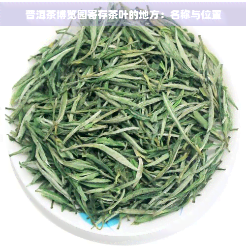 普洱茶博览园寄存茶叶的地方：名称与位置