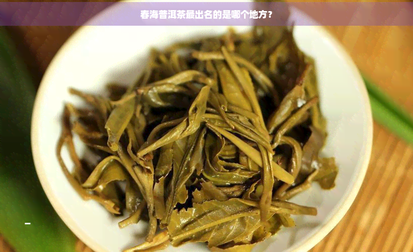 春海普洱茶最出名的是哪个地方？