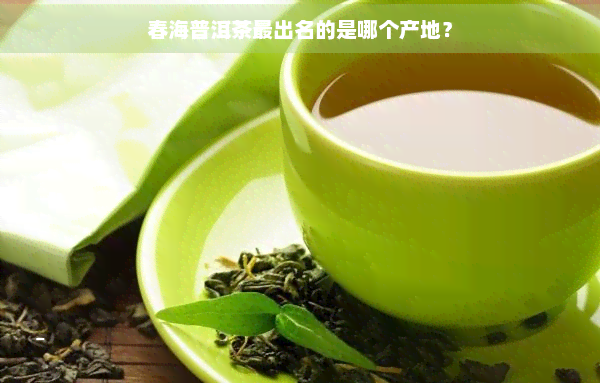 春海普洱茶最出名的是哪个产地？