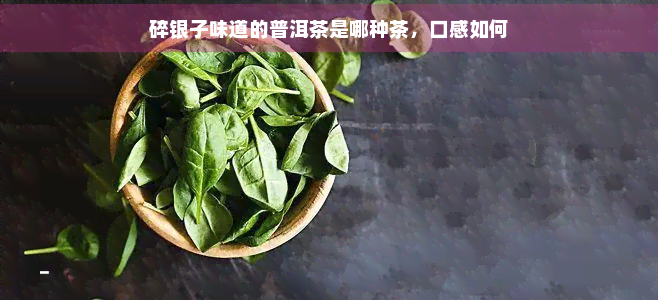 碎银子味道的普洱茶是哪种茶，口感如何