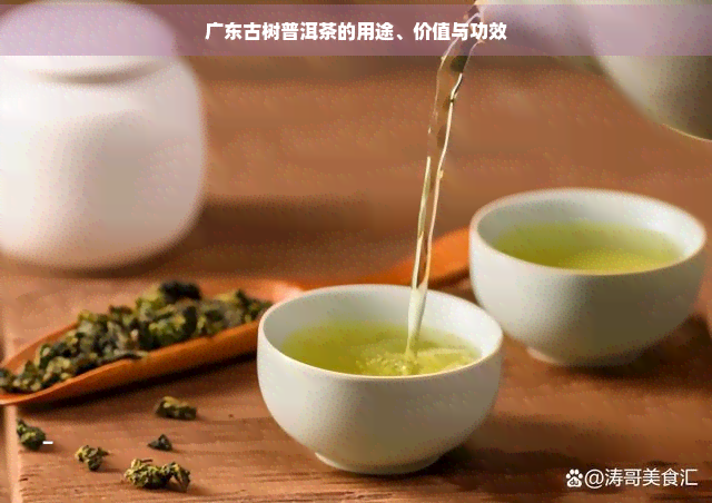 广东古树普洱茶的用途、价值与功效