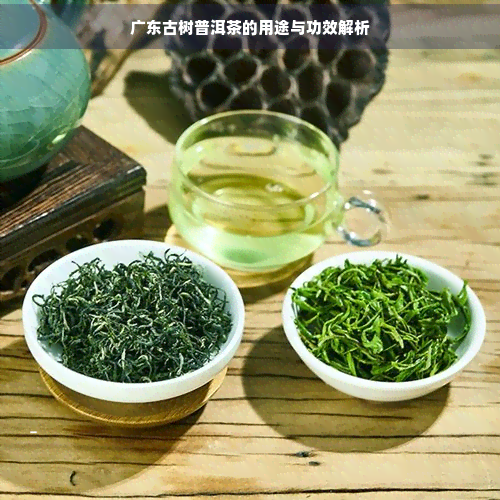 广东古树普洱茶的用途与功效解析