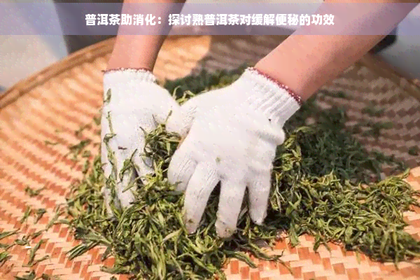 普洱茶助消化：探讨熟普洱茶对缓解便秘的功效