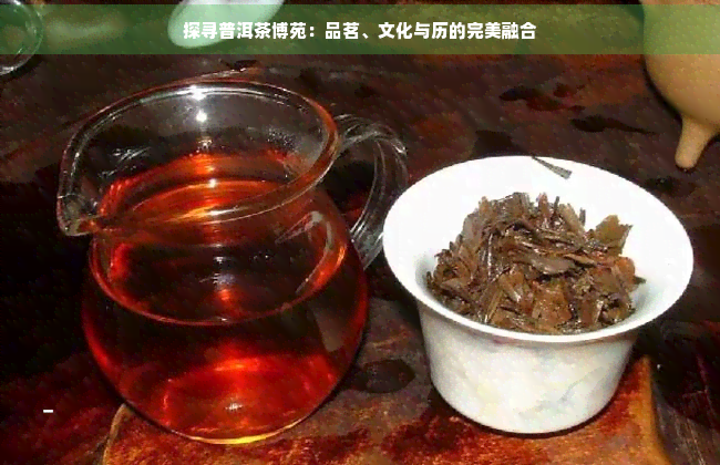 探寻普洱茶博苑：品茗、文化与历的完美融合