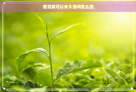 普洱茶可以长久泡吗怎么泡