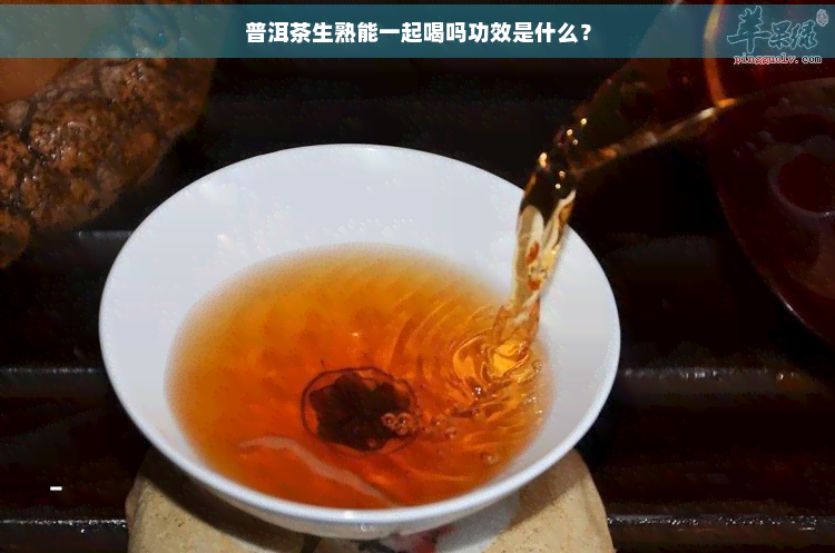 普洱茶生熟能一起喝吗功效是什么？