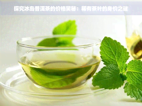 探究冰岛普洱茶的价格奥秘：稀有茶叶的身价之谜