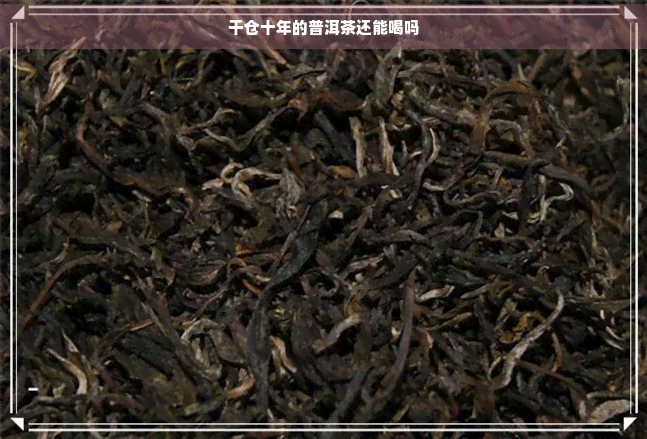 干仓十年的普洱茶还能喝吗