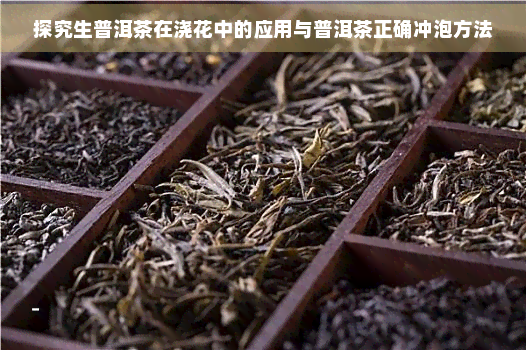 探究生普洱茶在浇花中的应用与普洱茶正确冲泡方法